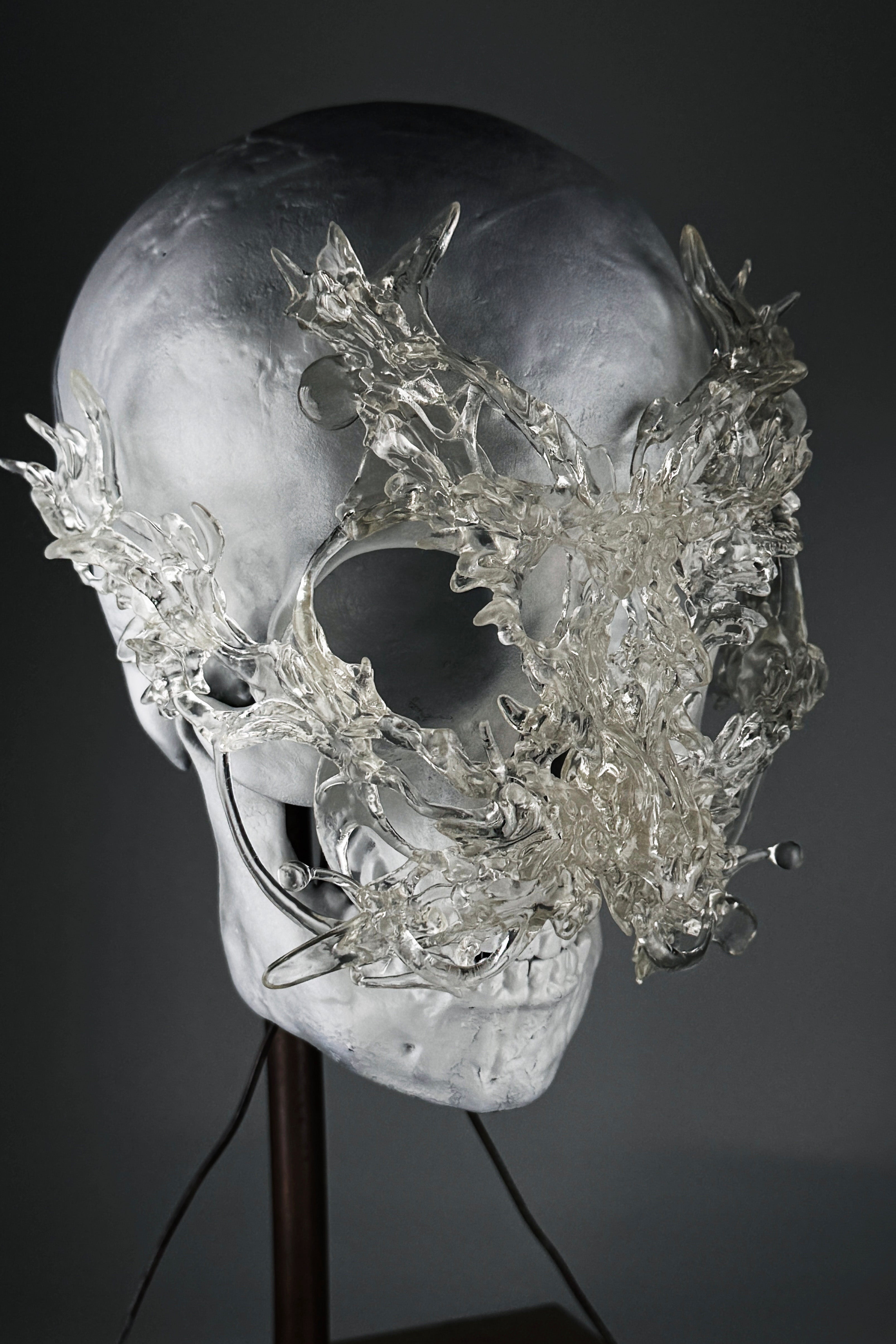 Face Mask 